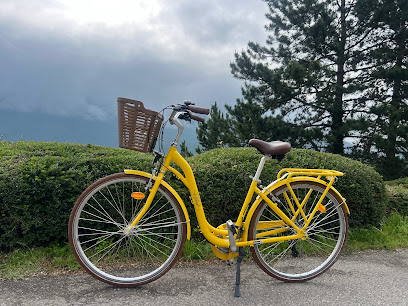 LOCATION VELO / RENT BIKE DOUSSARD
