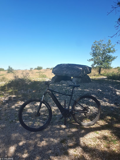 LOT & BIKE