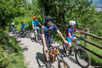 Bike School Evolution