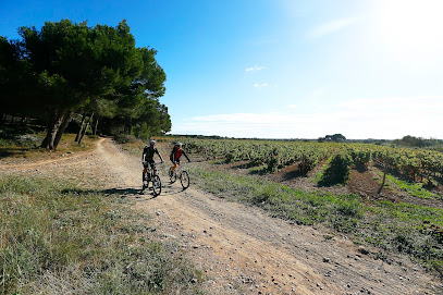Languedoc VTT Evasion