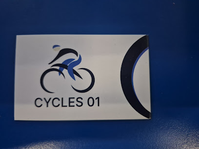 Cycles 01