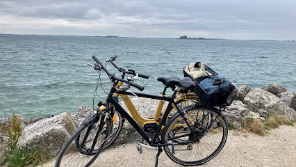 Nomad&rsquo;Ride : Location de vélo de canoe de paddle autour du lac du der