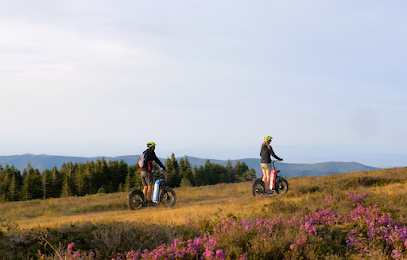 TROTT&rsquo;IN FOREST, Balade en Trottinette Electrique Tout Terrain en Occitanie
