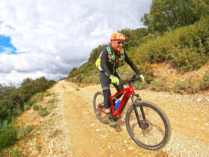 Panorama Outdoor – location de vélos dans les Alpilles