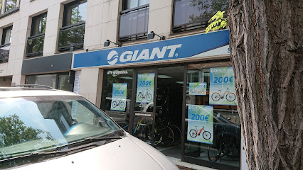 Giant Saint Maur