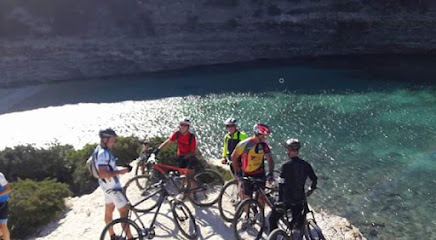 location velo