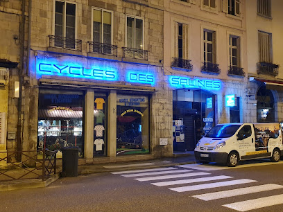 Cycles des Salines – Salins les Bains – Vente, location et réparation de vélos