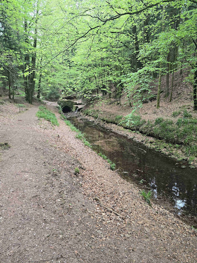 Enjoy Vélos Épinal – 1, 2 et 3 mai 2026