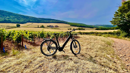 La Bourgogne à Vélo Location et Vente de Vélos