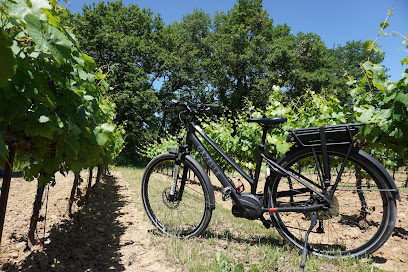 Sun-E-Bike – Magasin de vélo dans le Luberon (Location – Vente – Réparation)