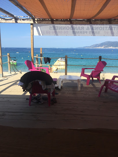 Rive Sud Nautique