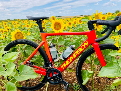 Bourgogne Randonnées location vélo électrique Beaune