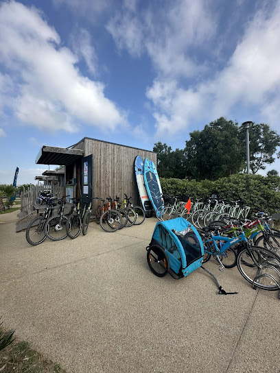 Thau Cycles