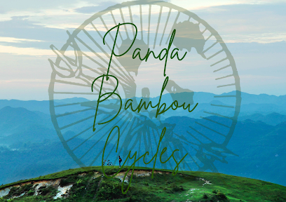 Panda Bambou Cycles – Location de Vélos (Livraison chez vous directement !)