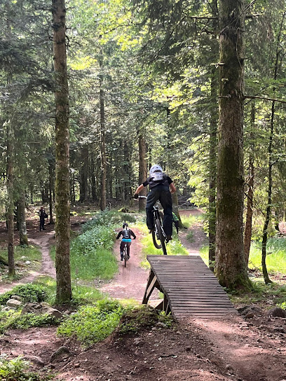 Bike Park – La Bresse Hohneck