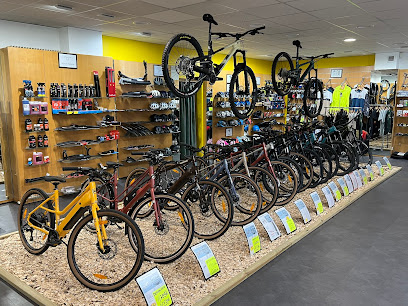 VTT Performance