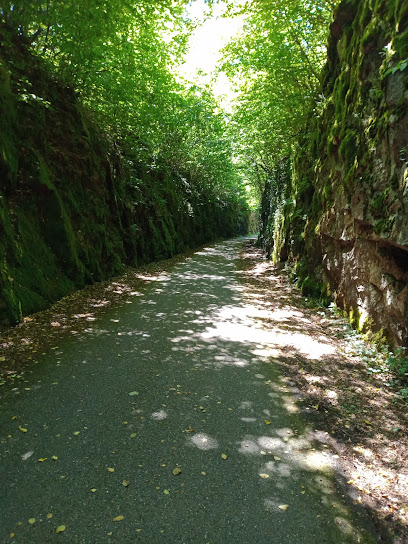 Voie verte des Hautes-Vosges