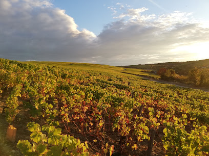 sancerre à vélo