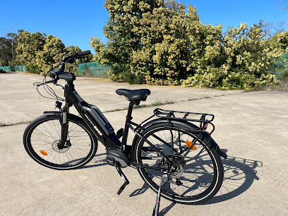 Corse electric bike
