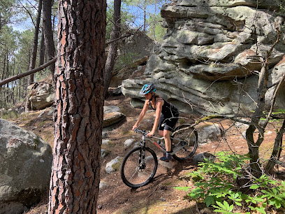 Fontainebleau Bikes & Crash Pads Rental (location/livraison vélos et crash pads)
