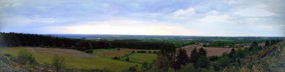 VTT