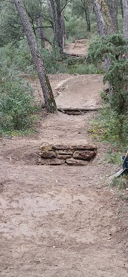 Terrain de vtt