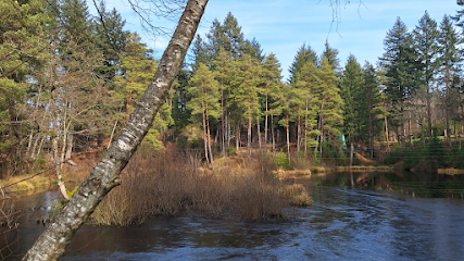 Parc accrobranche Accro-Sioule – Allier
