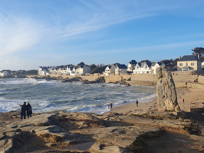 La côte sauvage