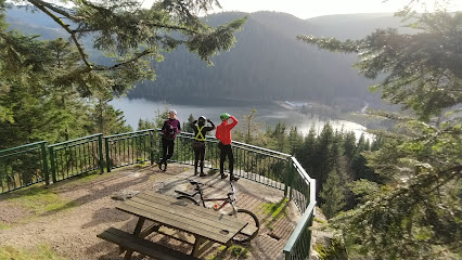 Bike Tours Vosges