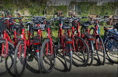 Véloc&rsquo;Ouest – Location de vélo – Réservation en ligne – La Voile d&rsquo;Or