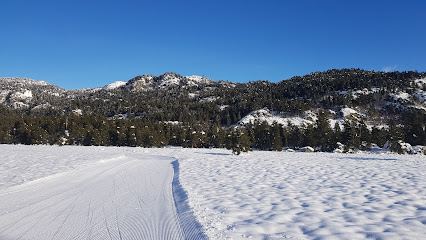 Domaine Les Estanyols