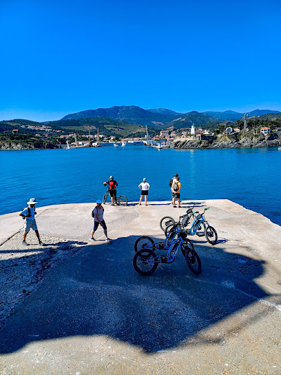 ÇA TROTT, Les Pyrénées Orientales en trottinettes électriques tout terrain