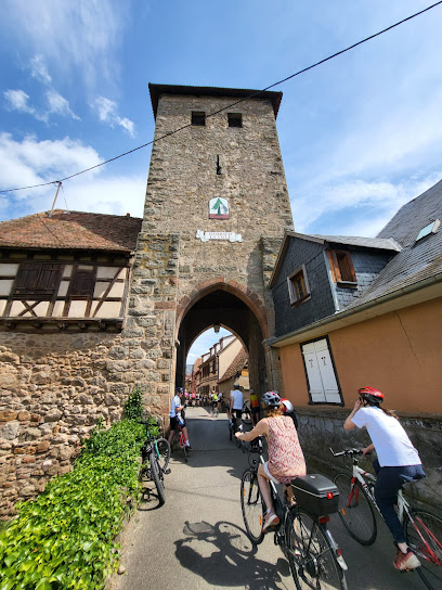 slowUp Alsace
