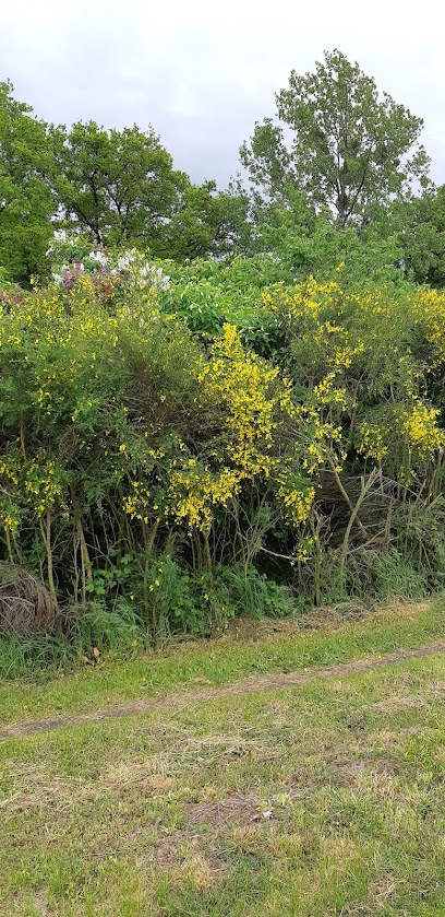 Départ voie verte Bressuire Parthenay