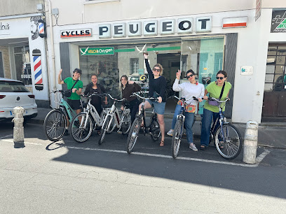 Tours’N Bikes – Azay le rideau cycles