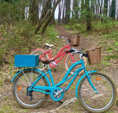 Vélocation – Ça roule