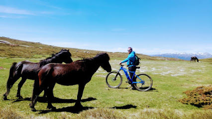 Location VTT Électrique SOL IN BIKE