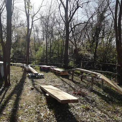 Bike Park de Tartaras