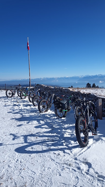 Easy Fat Bike