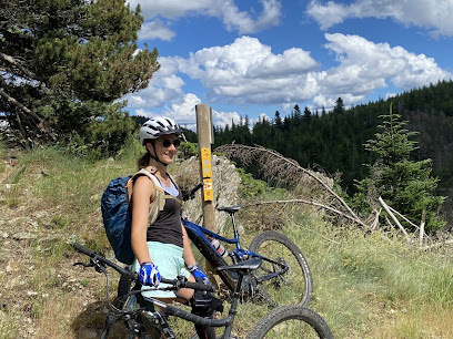 Location de Vélo Électrique Station Alti Aigoual VTT VTC Route