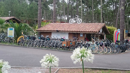 Location vélo / surf OXYGEN CYCLES