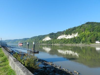 La seine à vélo : vers la Bouille