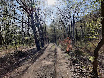 Chemin des Bornes
