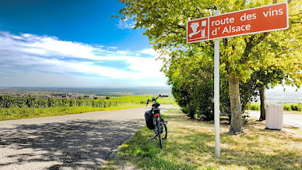 Alsa Cyclo Tours