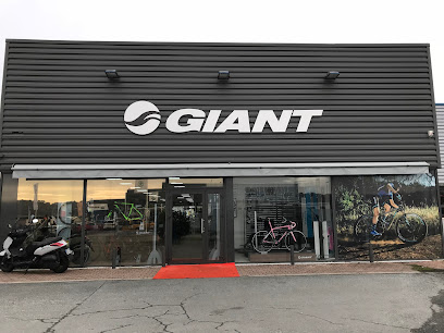 Giant Périgueux