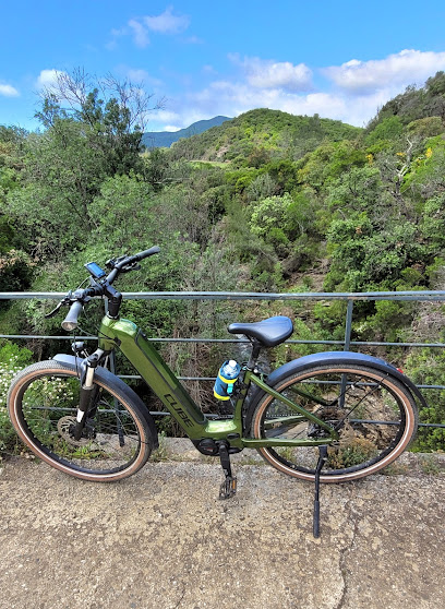 VinEbike