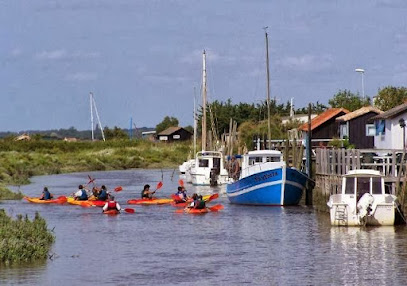 Kayak Et Nature En Seudre