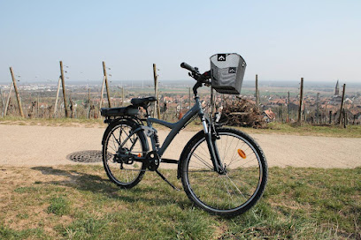 RIED BIKES – Location de vélos en Alsace