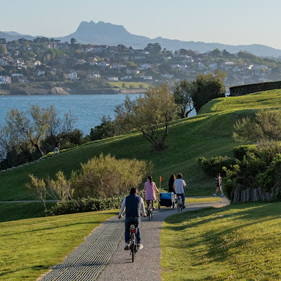 Lafitenia Bikes – Location vélo, surf et scooter Saint-Jean-de-Luz