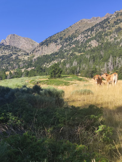 Aventure Pyrénéenne